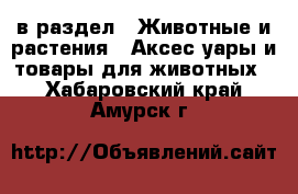  в раздел : Животные и растения » Аксесcуары и товары для животных . Хабаровский край,Амурск г.